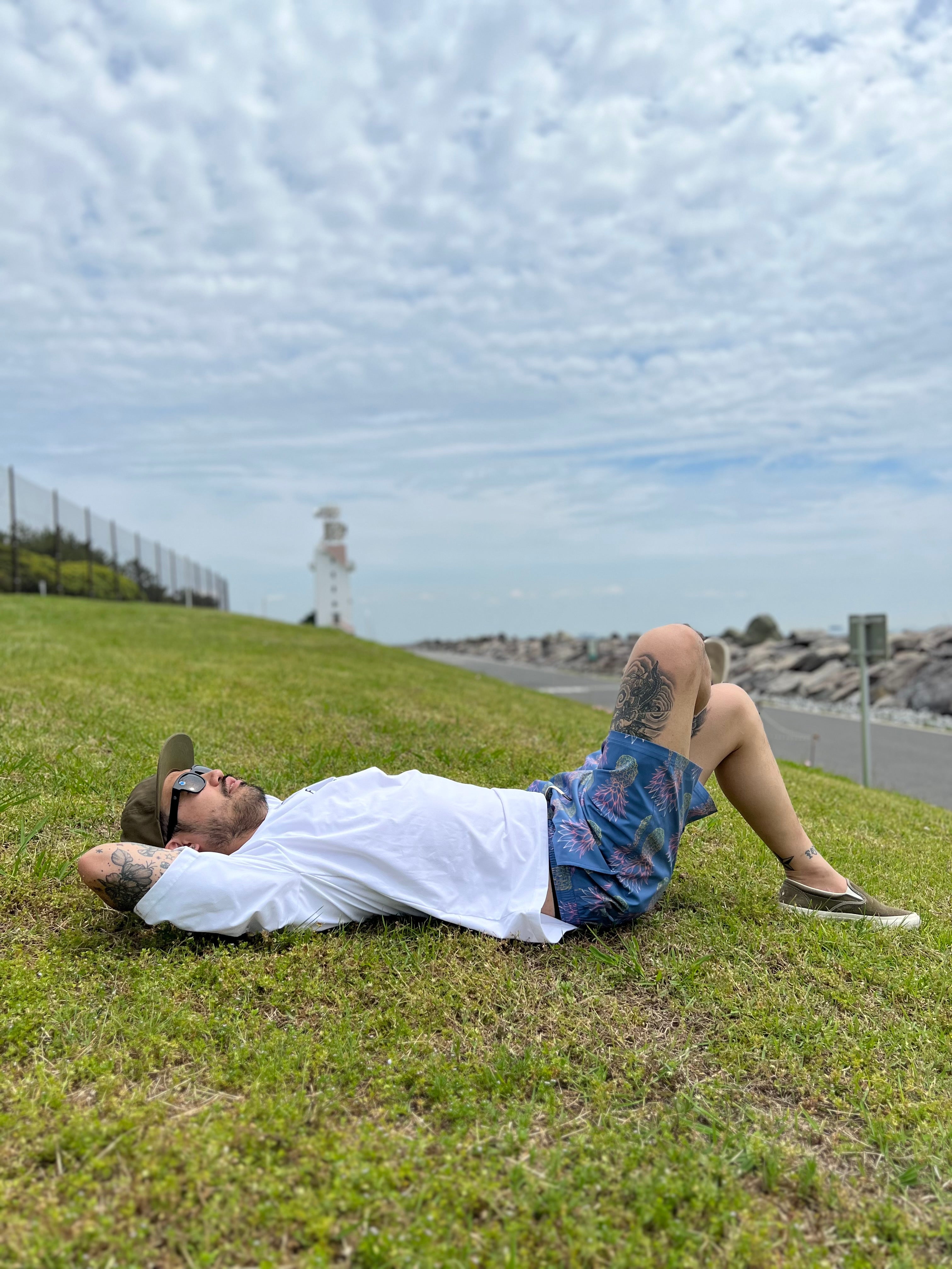 AGUA VOLLEY 2N1 SHORT-7" /GRANDE PINEAPPLE FADE FOG