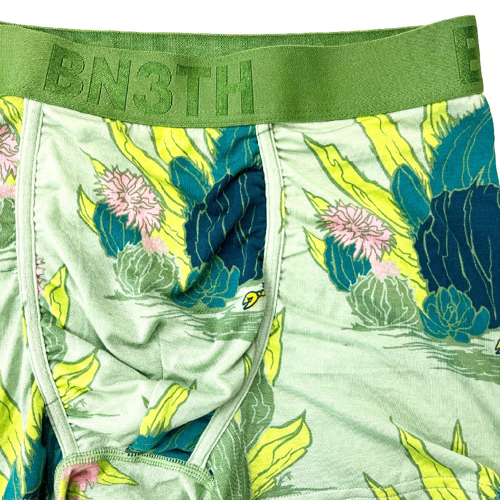 CLASSIC TRUNK PRINT / CACTUS FLORAL FAIR GREEN